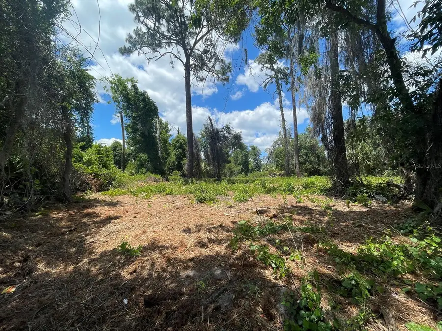 County Road 42, Umatilla, FL 32784 - #2