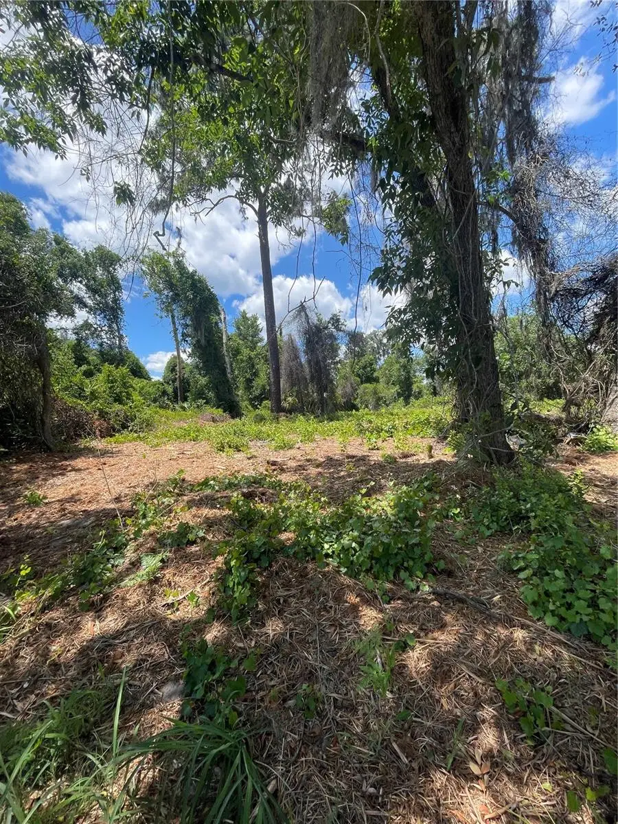 County Road 42, Umatilla, FL 32784 - #3