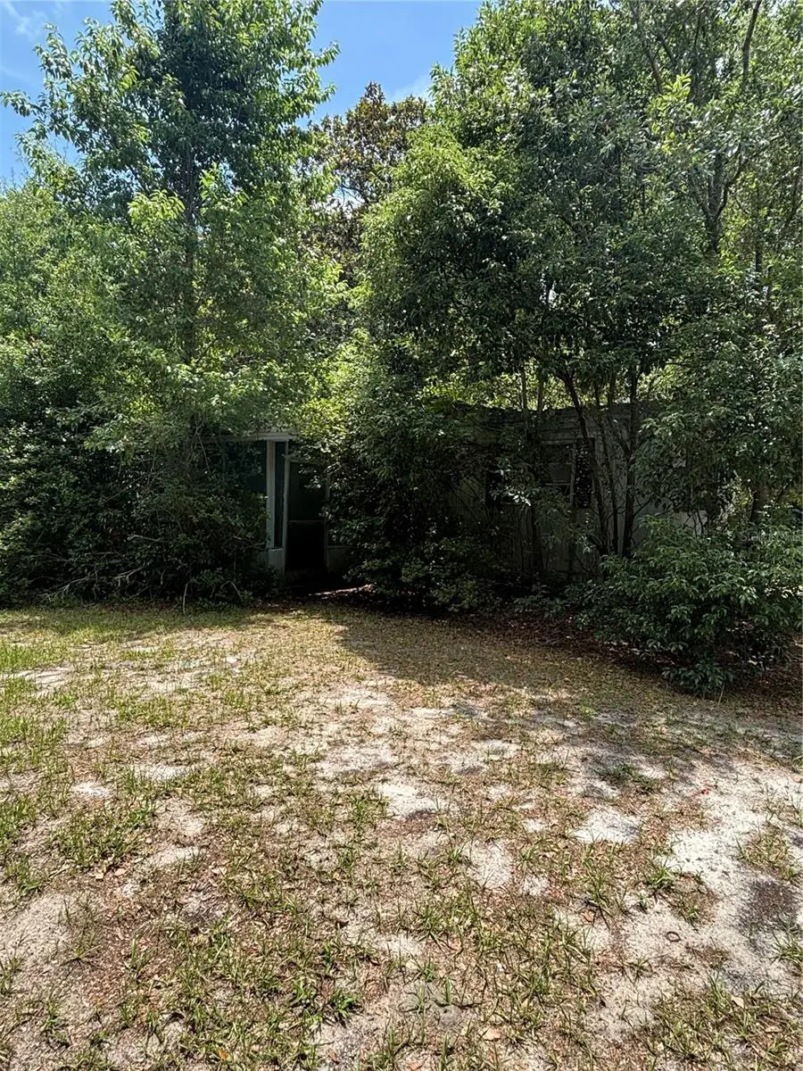 20304 Blue Wing Road, Altoona, FL 32702 - #1