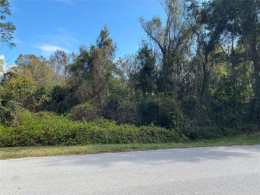 31004 Secretariat Trail, Leesburg, FL 34748 - #3