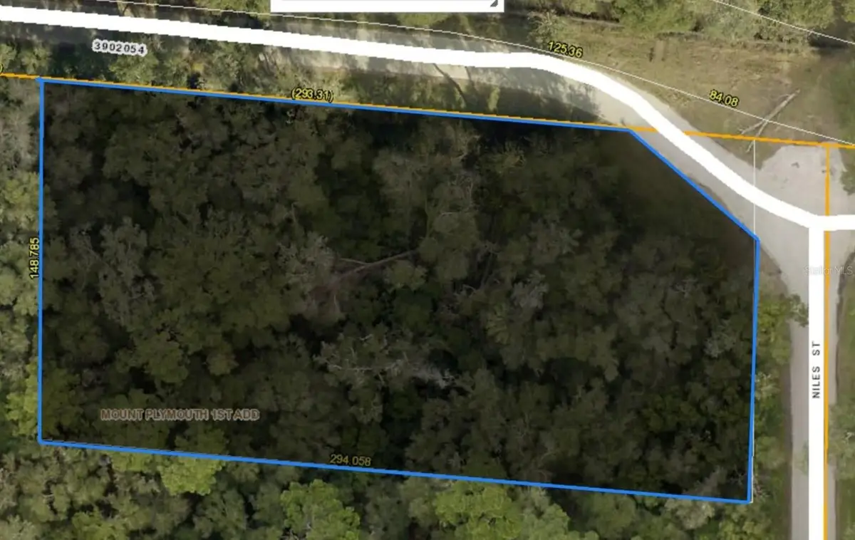31699 Niles Street, Mount Plymouth, FL 32776 - #1