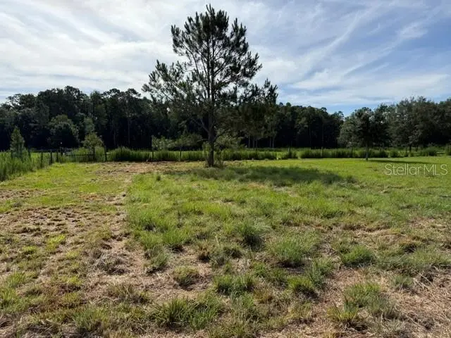 7214 Oil Well Road, Clermont, FL 34714 - #2