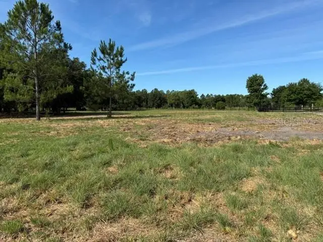 7214 Oil Well Road, Clermont, FL 34714 - #3