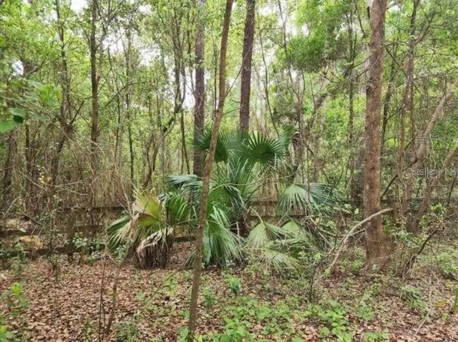 15363 SE 156th Place Road, Weirsdale, FL 32195 - #2