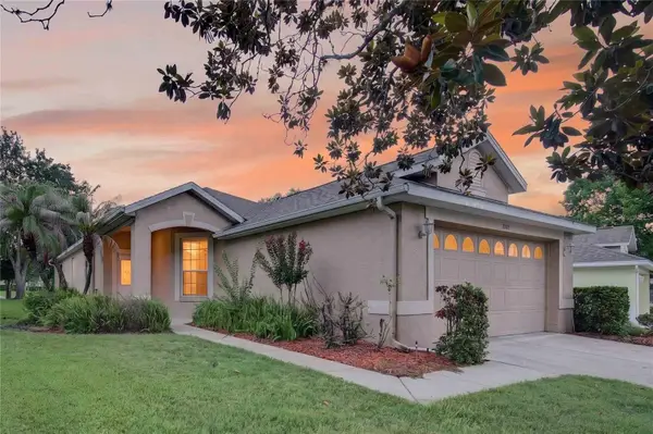 1005 Saint Ives Court, MOUNT DORA, FL 32757