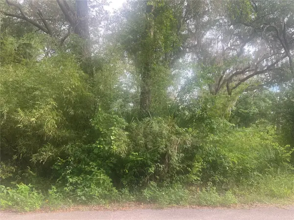 NE 32nd Street, SILVER SPRINGS, FL 34488