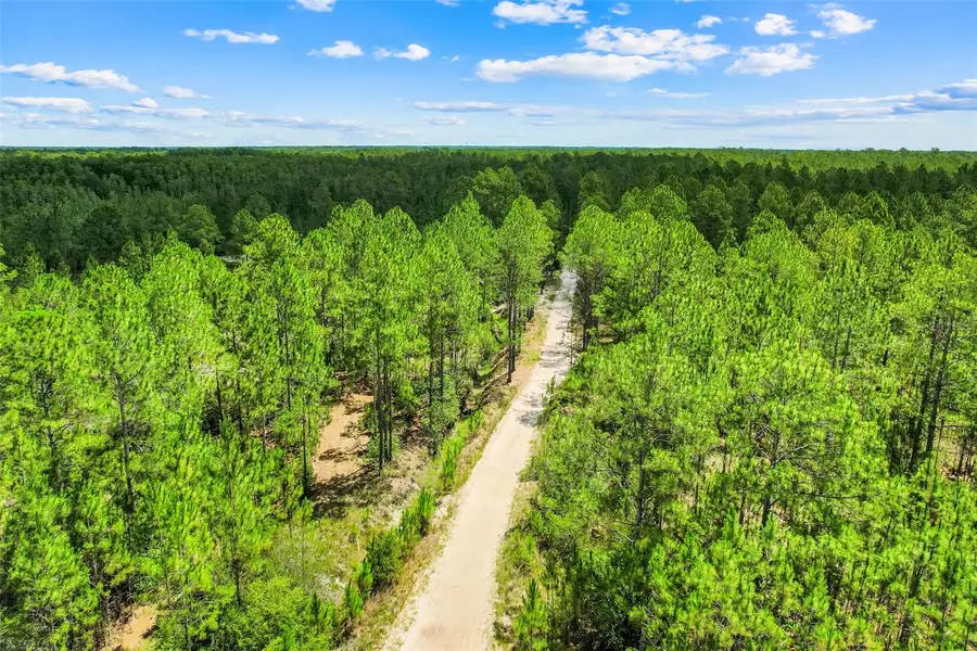 Water Road, Clermont, FL 34711 - #2