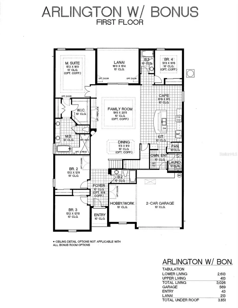 17350 Wild Daisy Drive, Winter Garden, FL 34787 - #3
