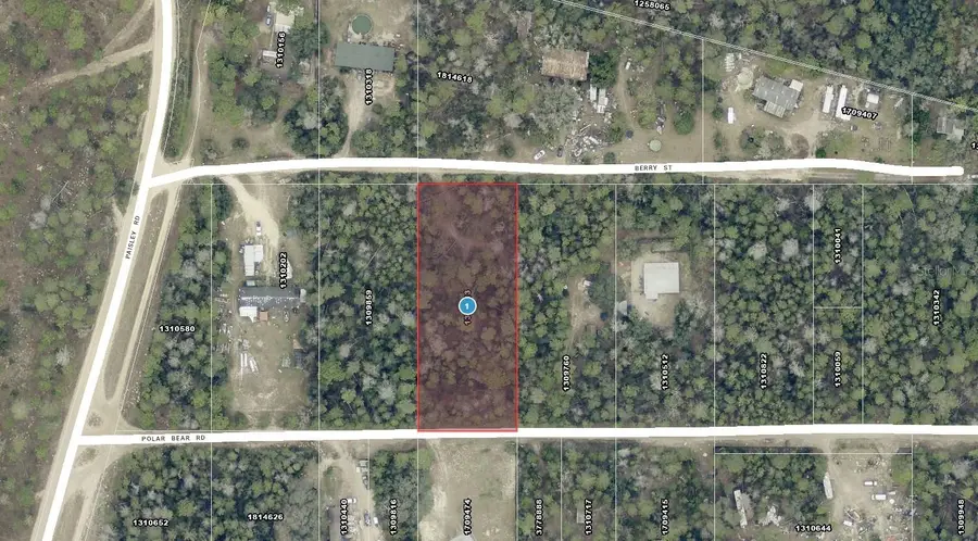 Berry Street, Paisley, FL 32767 - #2