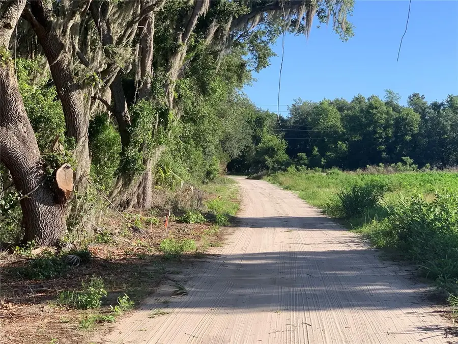 27551 Jackson Court, Okahumpka, FL 34762 - #3