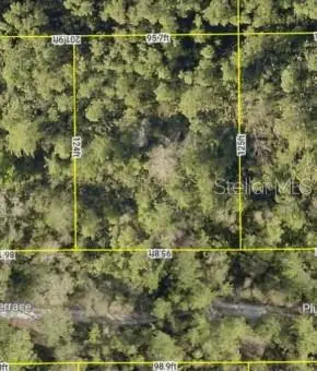 0 Plumosus Terrace, DELAND, FL 32724