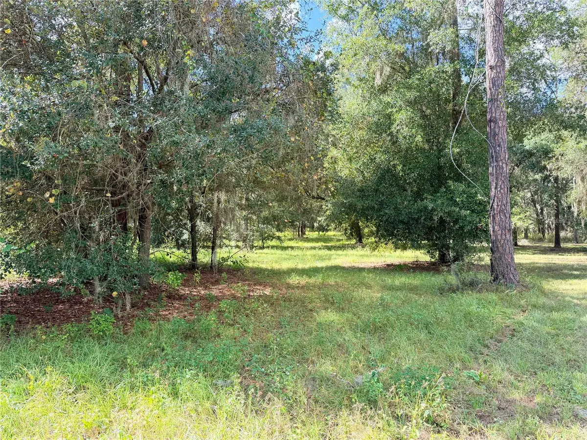 Bonsmara Drive, Groveland, FL 34736 - #1