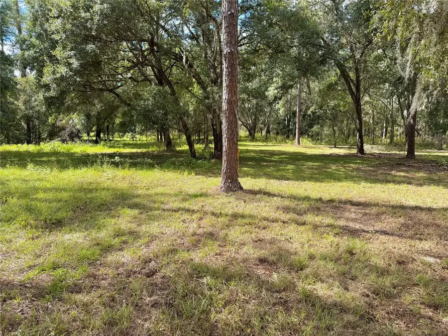 Bonsmara Drive, Groveland, FL 34736 - #3