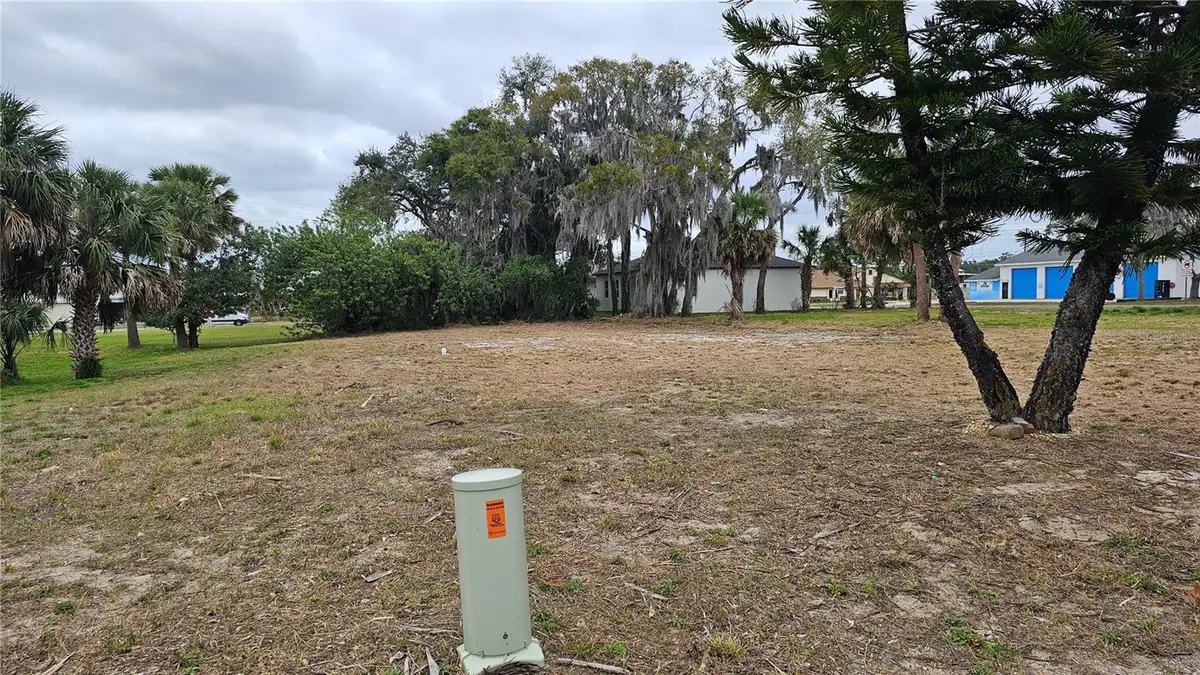209 W Badger Avenue, Eustis, FL 32726 - #1