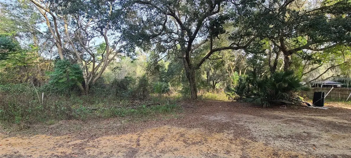 17205 SE 252nd Avenue, Umatilla, FL 32784 - #1