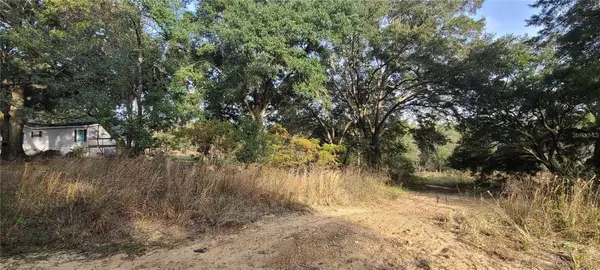 17105 SE 252nd Avenue, UMATILLA, FL 32784