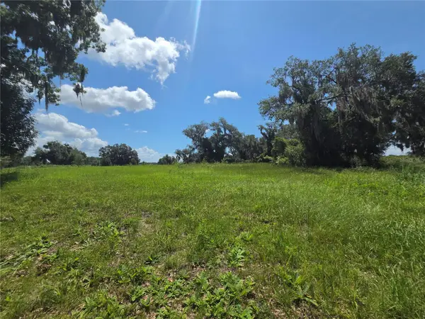 466 Long And Winding Road, HOWEY IN THE HILLS, FL 34737