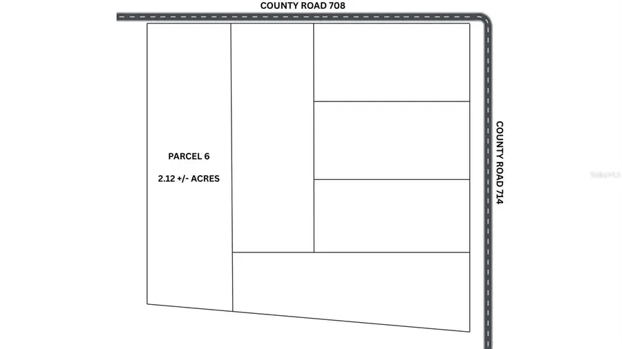 PARCEL 6 Cr 708, Center Hill, FL 33514 - #2