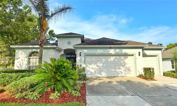 3488 Chessington Street, CLERMONT, FL 34711