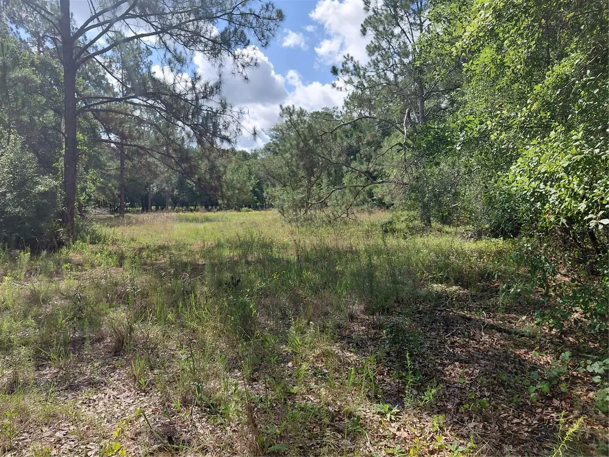 Pinon Drive, Webster, FL 33597 - #1