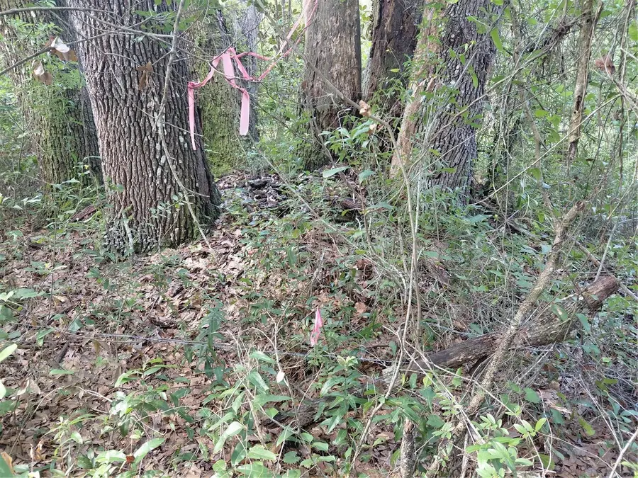 Pinon Drive, Webster, FL 33597 - #3