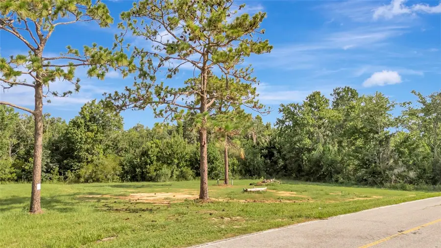 4541 County Road 561, Clermont, FL 34714 - #3