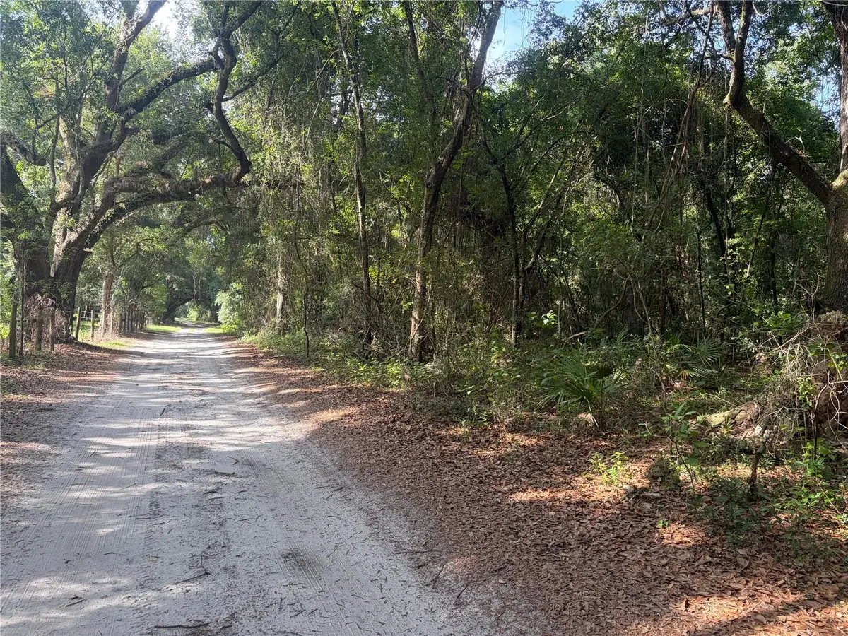 0000 Cr 738, Webster, FL 33597 - #1