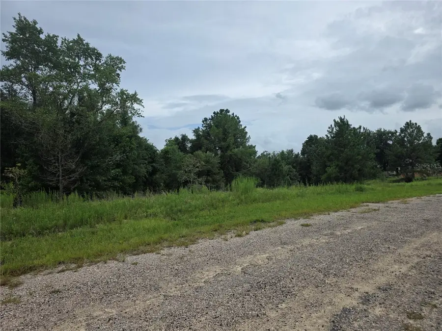 7813 N Cedro Road, Dunnellon, FL 34434 - #3