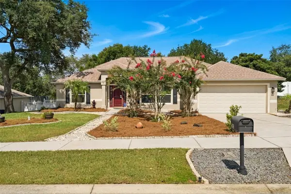 1115 Lakeview Oaks Drive, MINNEOLA, FL 34715