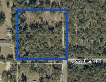 10681 Goose Prairie Rd Road, LEESBURG, FL 34788