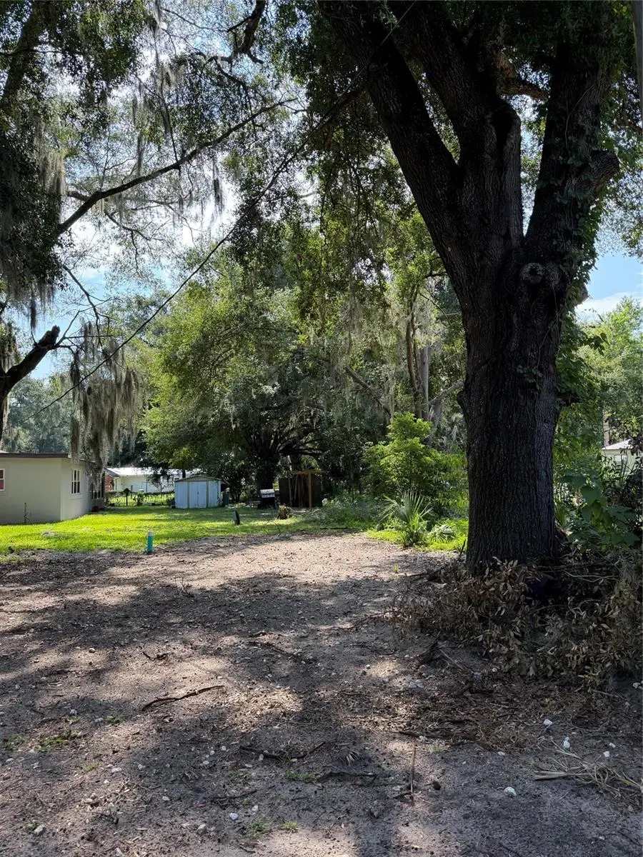 Cr 491w, Lake Panasoffkee, FL 33538 - #2