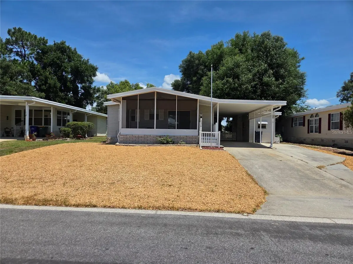 3224 Manatee Road, Tavares, FL 32778 - #1
