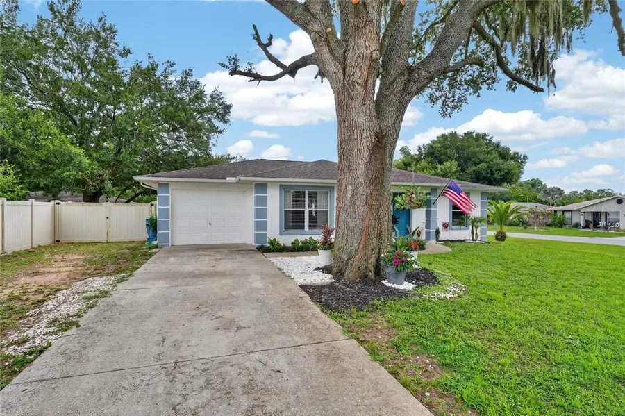 599 Magnolia Ridge Avenue, Tavares, FL 32778 - #2