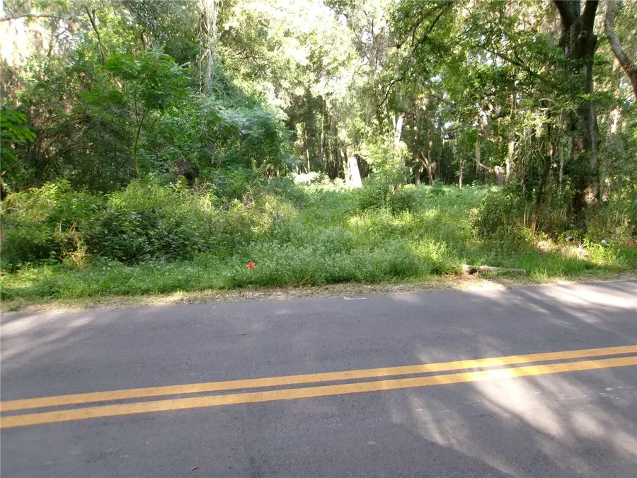 St Clair Street, Wildwood, FL 34785 - #2