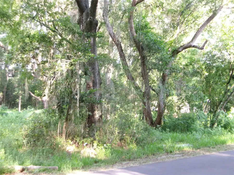 St Clair Street, Wildwood, FL 34785 - #3