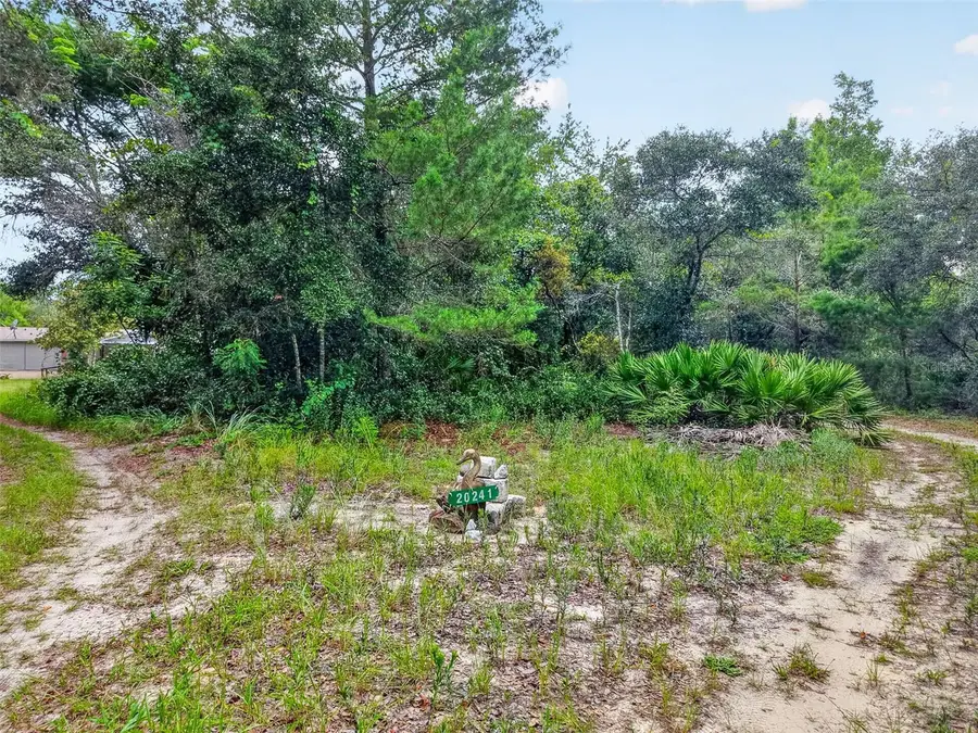 20241 Saltsdale Road, Umatilla, FL 32784 - #2