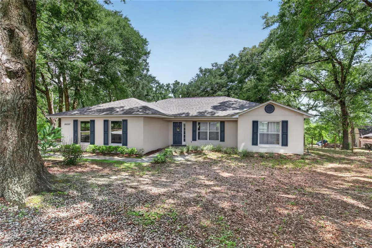 24307 Adair Avenue, Sorrento, FL 32776 - #1