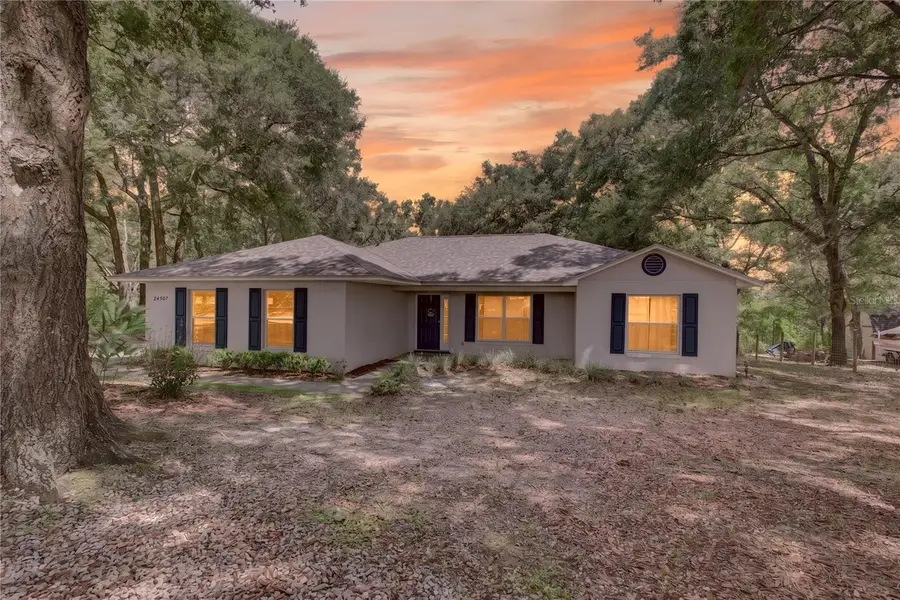 24307 Adair Avenue, Sorrento, FL 32776 - #2