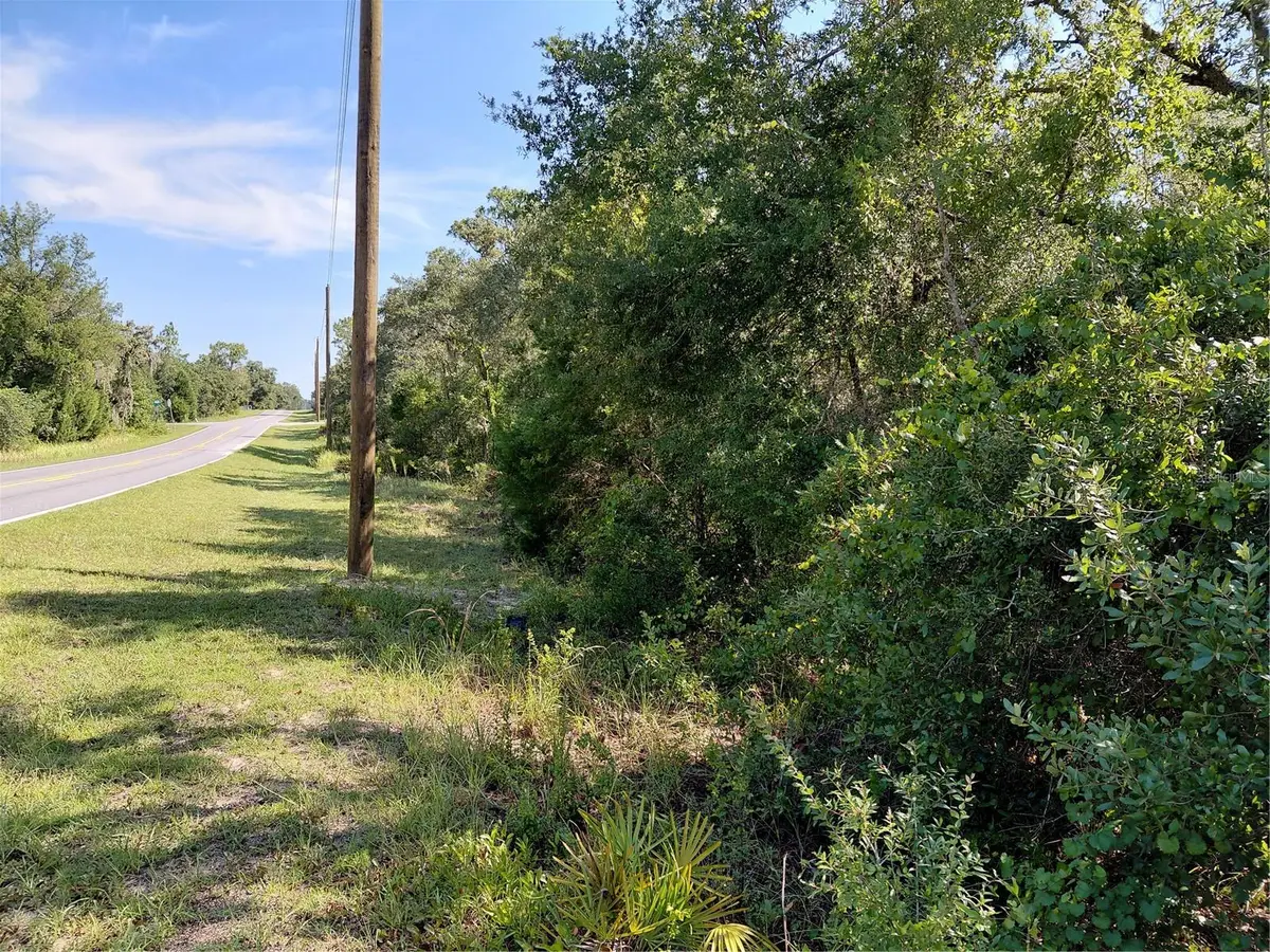 Wheystone Drive, Webster, FL 33597 - #1