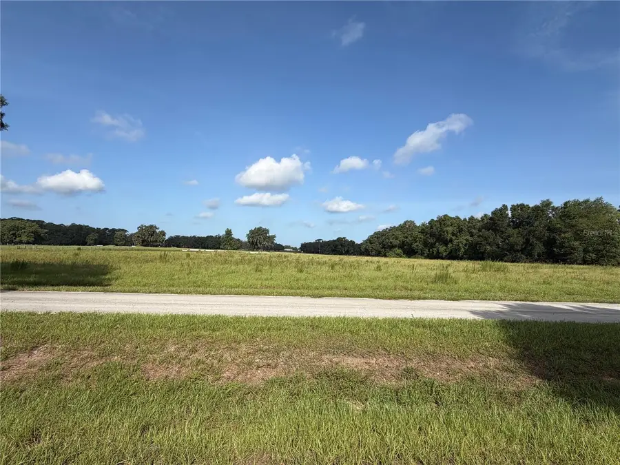 Cross Country Boulevard, Altoona, FL 32702 - #2