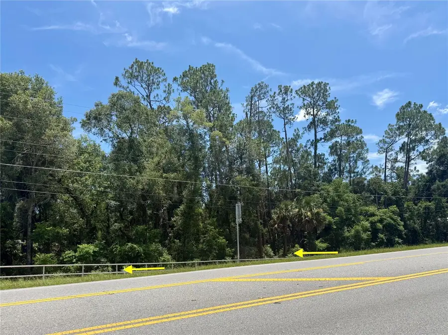 LOT 13 State Road 44, Eustis, FL 32726 - #3