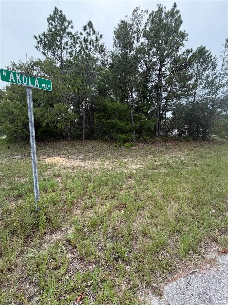 9512 N Akola Way, Citrus Springs, FL 34434 - #2