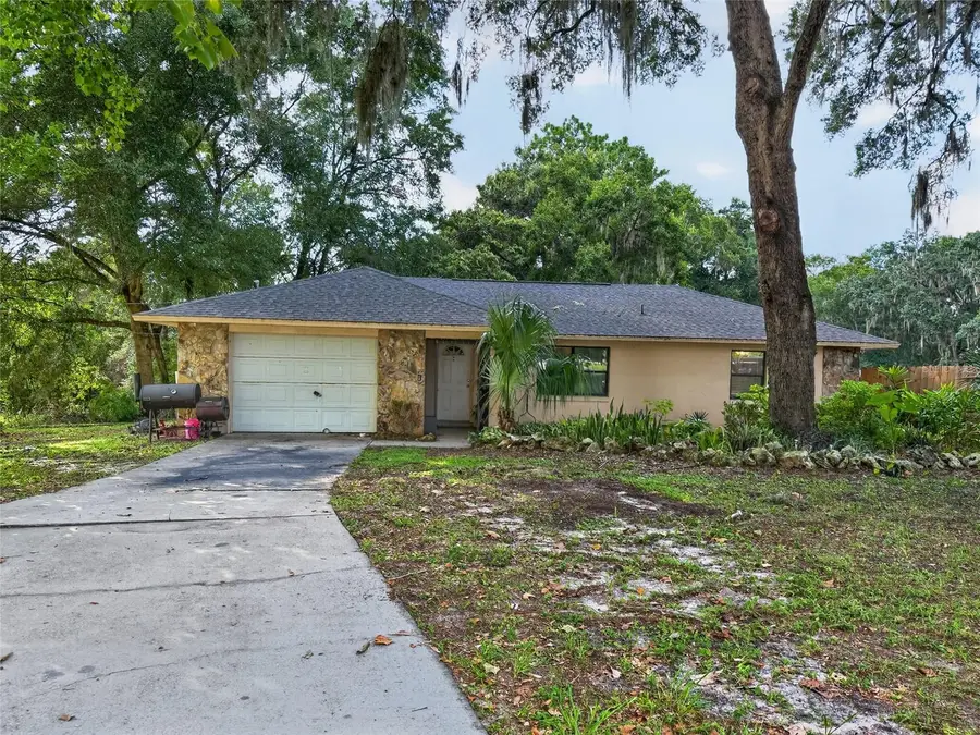 11025 SE 132nd Place, Ocklawaha, FL 32179 - #3