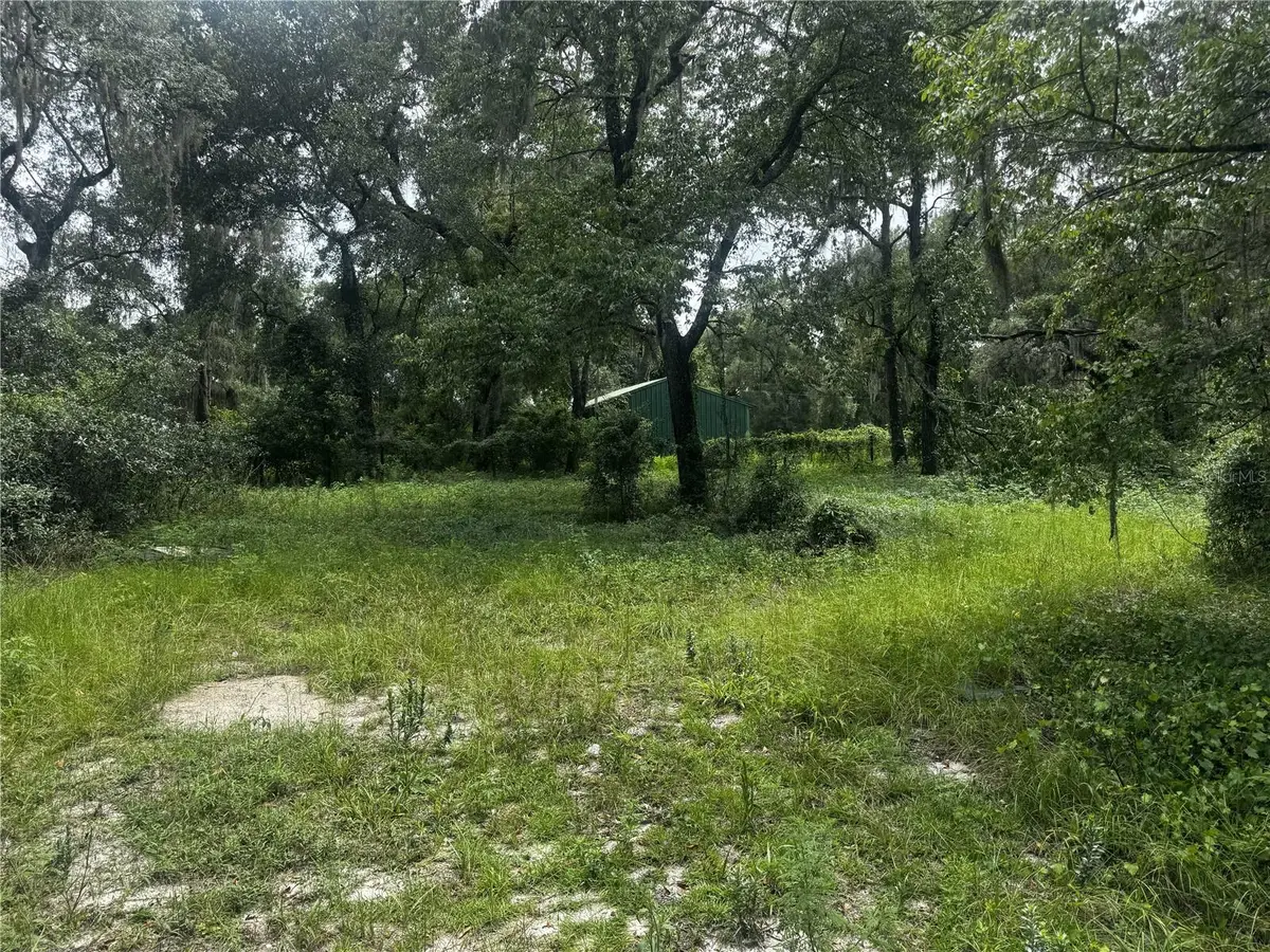 20716 SE 156th Place, Umatilla, FL 32784 - #1