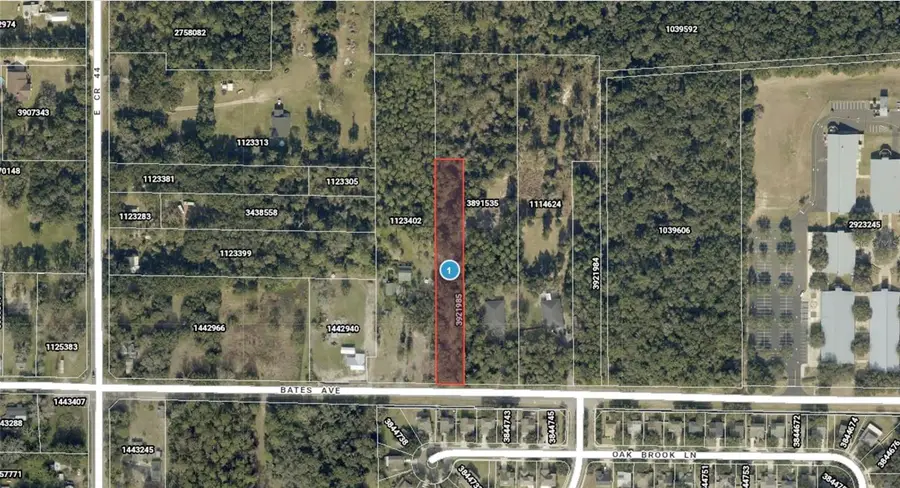 E Bates Avenue, Eustis, FL 32726 - #2