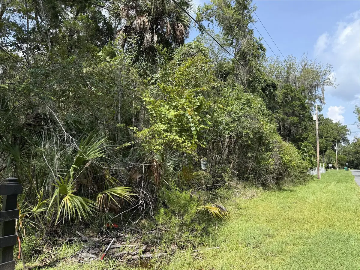 10991 W London Lane, Homosassa, FL 34448 - #1