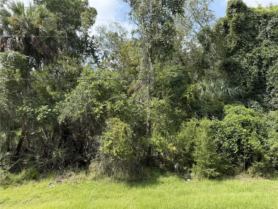 10991 W London Lane, Homosassa, FL 34448 - #2