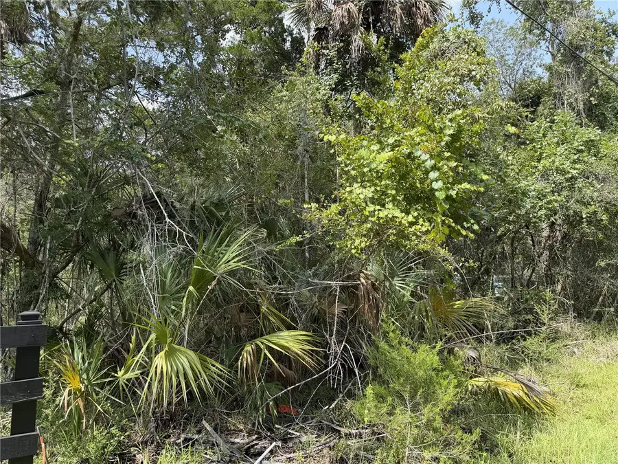 10991 W London Lane, Homosassa, FL 34448 - #3
