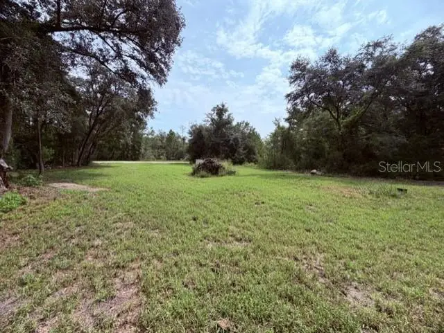35356 Kramer Street, Webster, FL 33597 - #1