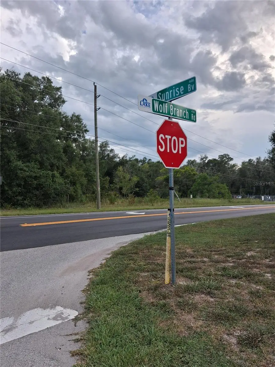 Park Forest Boulevard, Mount Dora, FL 32757 - #1